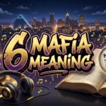 6 Mafia Meaning