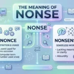 Nonse Meaning