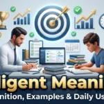 Diligent Meaning