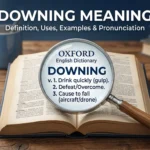 Downing Meaning