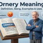 Ornery Meaning
