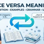 Vice Versa Meaning