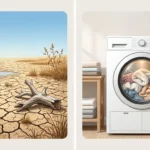 Drier or Dryer